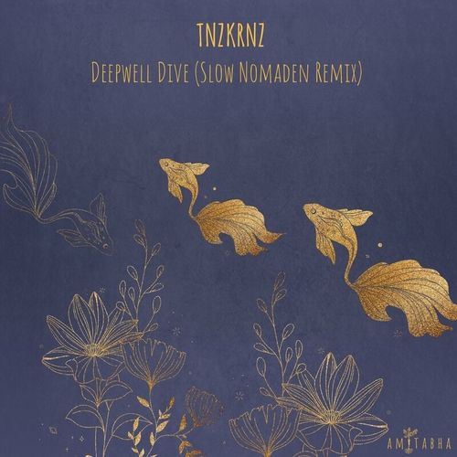 TNZKRNZ - Deepwell Dive (Slow Nomaden Remix) [AMIT045]